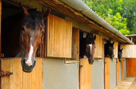 free Scounslow Green stable construction quotes